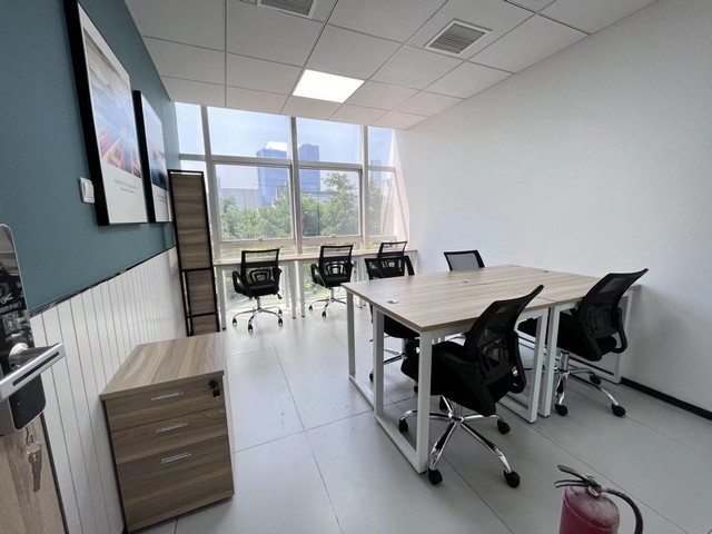 猫猫吃的宠物益生菌