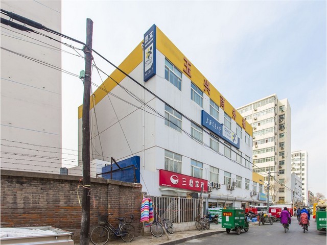 猫猫吃的宠物益生菌